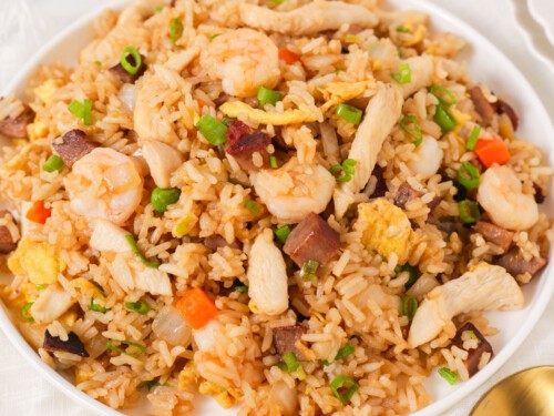 Plus Special Fried Rice ( 1 : 3 )